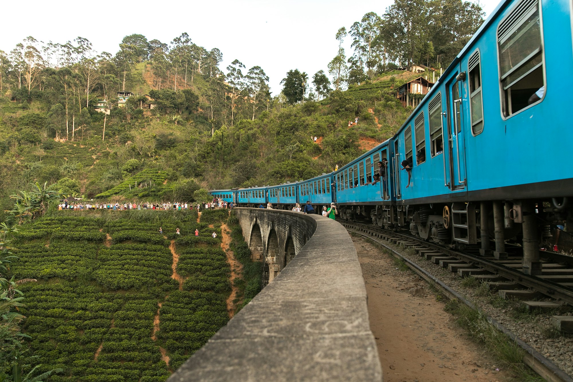 A blue train curving past tea terraces in the hill country