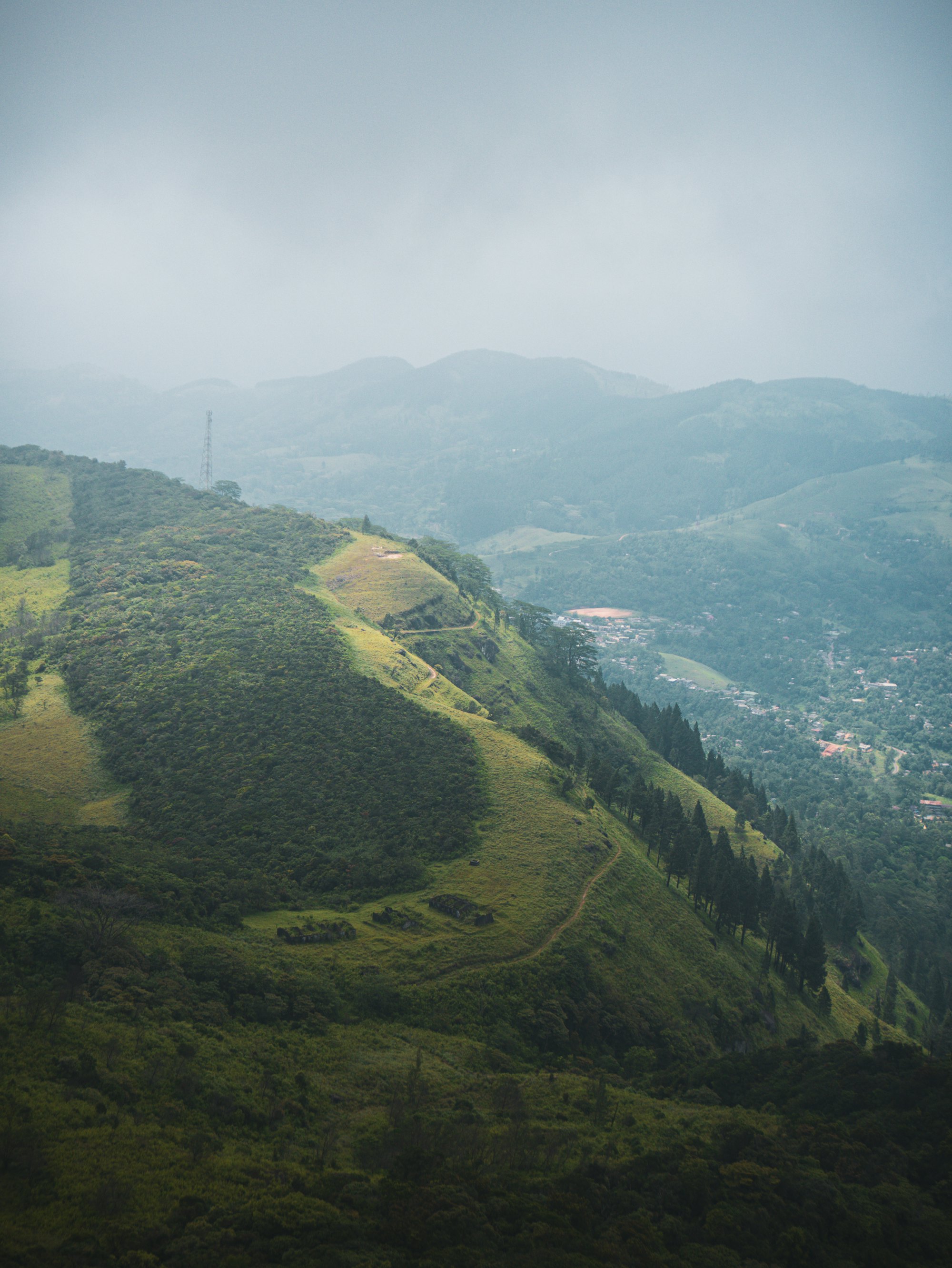 Green hills rolling away under afternoon light in central Sri Lanka
